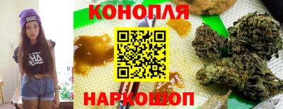сатива Можга